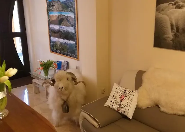 Bed & Breakfast U Baranow 3*