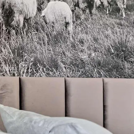 U Baranow ベッド・アンド・ブレックファスト 3*