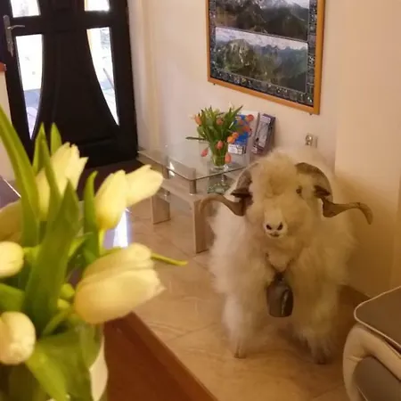 U Baranow ザコパネ