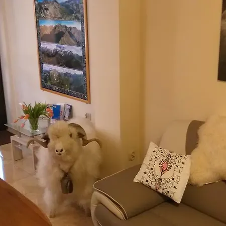 Bed & Breakfast U Baranow 3*