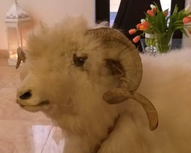 U Baranów Nocleg ze śniadaniem Zakopane